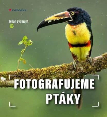 Rozvoj obchodních a vyjednávacích dovedností - Manuál pro start úspěšného obchodníka