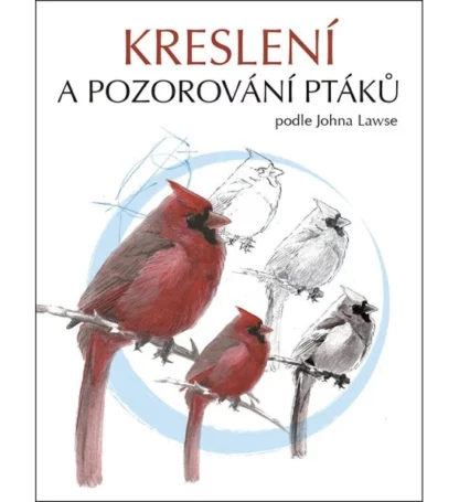 Kreslení a pozorování ptáků
