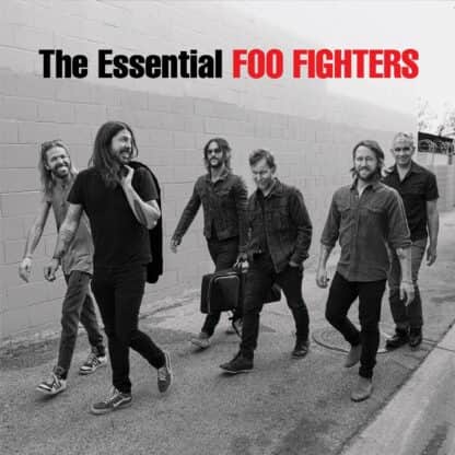 Foo Fighters - Essential Foo Fighters - 2 LP