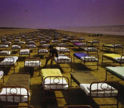 Pink Floyd - A Momentary Lapse Of Reason - CD
