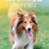 Lassie se vrací - Image 2