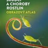 Škůdci a choroby rostlin – obrazový atlas - Image 2