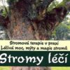 Stromy léčí - Image 2