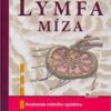 Lymfa míza - Image 2