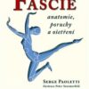 Fascie - Anatomie, poruchy a ošetření - Image 2
