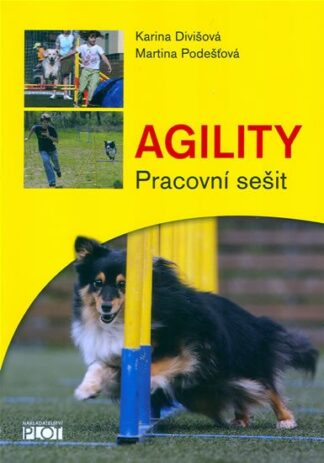 Agility - Pracovní sešit