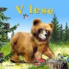 V lese - Image 2