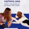 Pozitivní metody výchovy psa - Image 2
