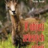 V objetí zelených stínů - Image 2