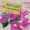Rostliny v nádobách - Rychlý rádce: více než 99 rad pro rychlé řešení problémů - Image 2