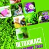 Detoxikace pro dlouhý život - Praktický průvodce pro odstranění toxických látek - Image 2