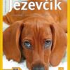 Jezevčík - Jak na to - Image 2