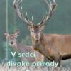 V srdci divoké přírody Beskyd - Image 2