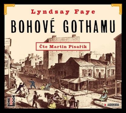 Bohové Gothamu - CDmp3 (Čte Martin Písařík)