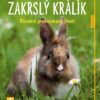 Zakrslý králík: Šťastně prohopkaný život - Jak na to - Image 2