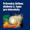 Průvodce léčbou diabetu 2. typu pro internisty - Image 2