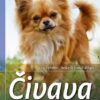 Čivava - Výběr, chov, výcvik, zábava - Image 2