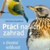 Ptáci našich zahrad v životní velikosti - Image 2