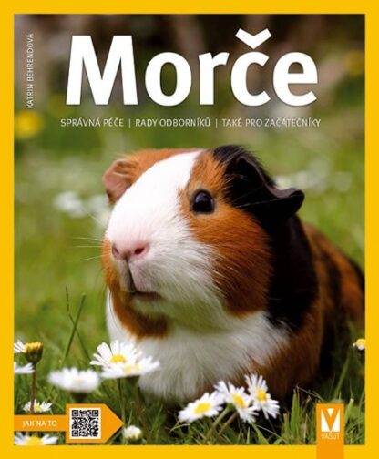Morče - Správná péče, rady odborníka...