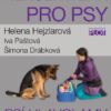 Hersenwerk pro psy - Psí hlavolamy - Image 2