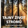 Tajný život stromů - Co cítí, jak komunikují. Objevování fascinujícího světa - Image 2