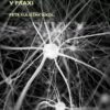 Klinická neuropsychologie v praxi - Image 2