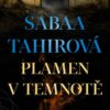 Plamen v temnotě - Image 2