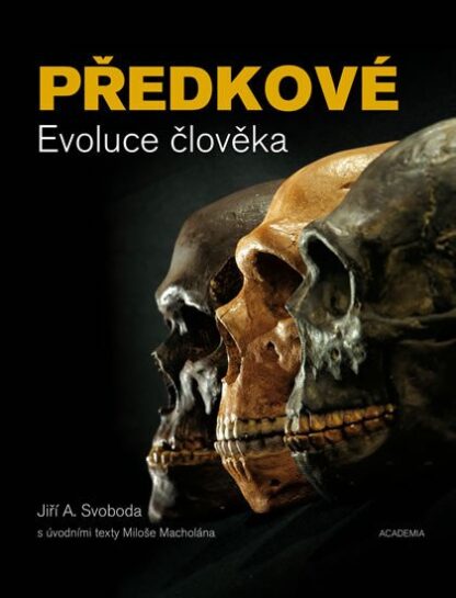 Předkové - Evoluce člověka