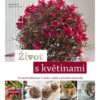 Život s květinami - Trvanlivé dekorace * suché, umělé a přírodní materiály - Image 2