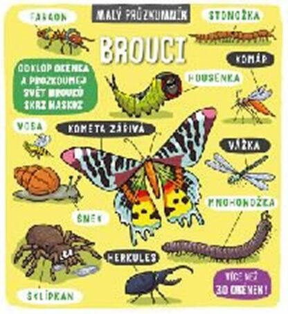 Malý průzkumník - Brouci