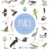 Ptáci - Image 2