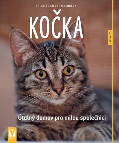 Kočka - Jak na to