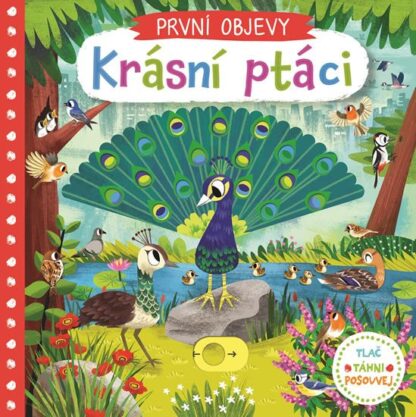 První objevy - Krásní ptáci