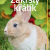 Zakrslý králík - Image 2