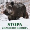 Stopa zhaslého kňoura - Image 2