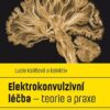 Elektrokonvulzivní léčba - teorie a praxe - Image 2