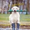 365 důvodů k úsměvu - Image 2