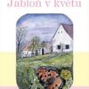 Jabloň v květu - Image 2
