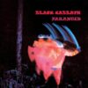Black Sabbath: Paranoid LP - Image 2