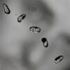 Peter Gabriel: Up - 2 LP - Image 2