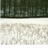 Joy Division: Atmosphere LP - Image 3