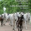 Kladrubáčci - Emilka se vrací / Little Kladrubers Emi Returns - Image 2