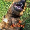 Je dobrej - Image 2