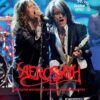Aerosmith - Image 2