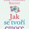 Jak se tvoří emoce - Lidský mozek pracuje jinak, než jsme mysleli - Image 2