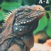 Terárium A - Z - Image 2