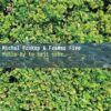 Mohlo by to bejt nebe … - 2 LP - Image 2