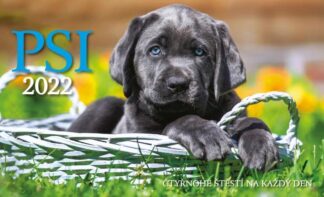 Kalendář 2022 - Psi, stolní