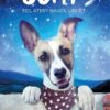 Gump - Pes, který naučil lidi žít (filmová obálka) - Image 2