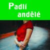 Padlí andělé - Image 2